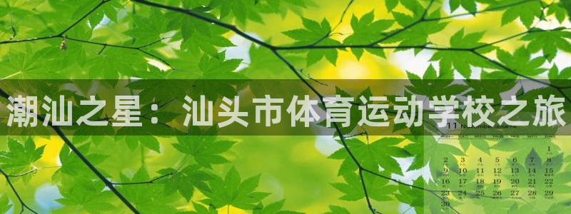 必发官方正版app五金厂：潮汕之星：汕头市体育运动学