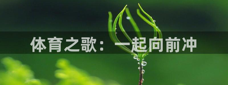 必发官方正版app神州：体育之歌：一起向前冲