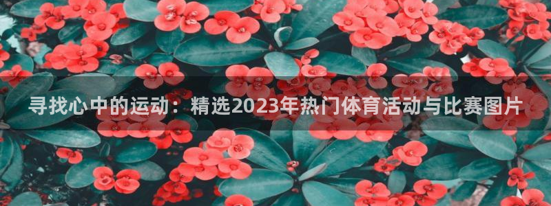 必发官网下载平台注册：寻找心中的运动：精选2023年