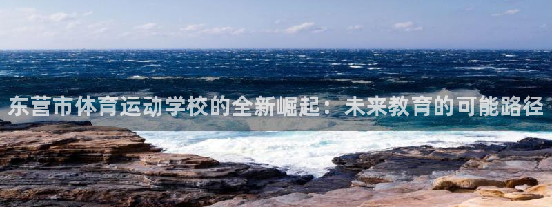 海南必发官网下载发展怎么样：东营市体育运动学校的全新