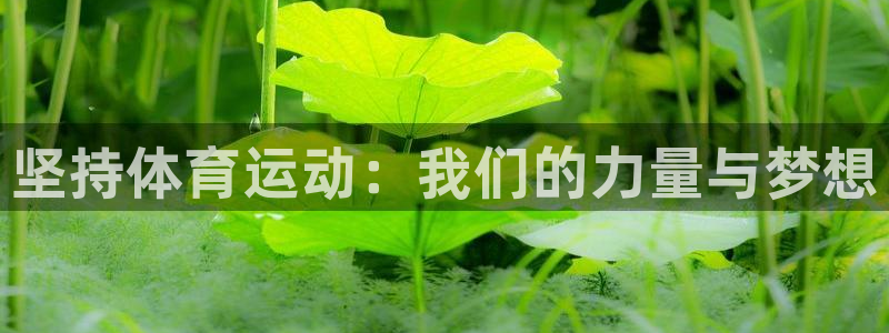 必发官方正版app集团官网首页：坚持体育运动：我们的
