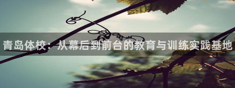 必发官方正版app官网：青岛体校：从幕后到前台的教育