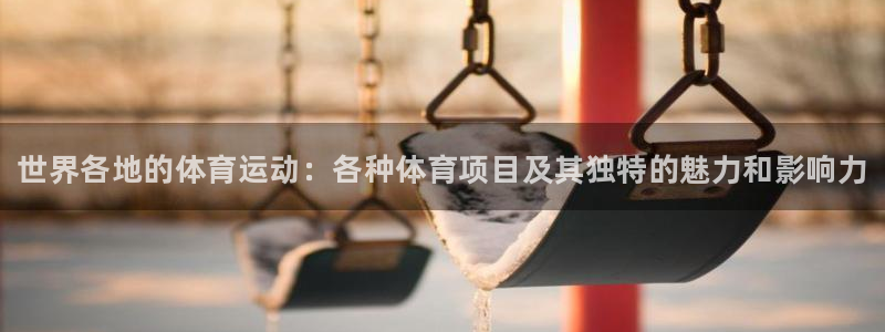 必发官方正版app集团官网首页网址：世界各地的体育运动：各种
