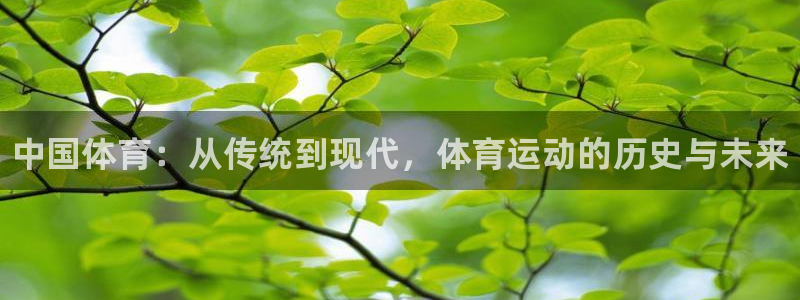 必发官网下载：中国体育：从传统到现代，体育运动的历史与未来
