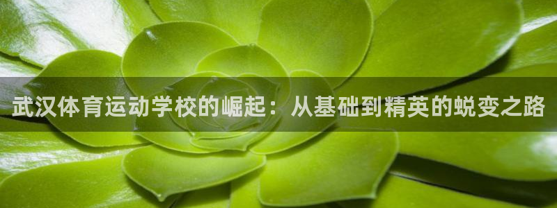 必发官网下载平台注册流程图：武汉体育运动学校的崛起：