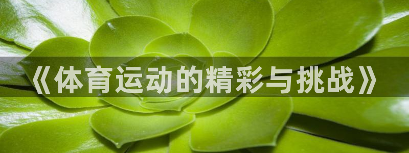 德国必发官方正版app集团：《体育运动的精彩与挑战》