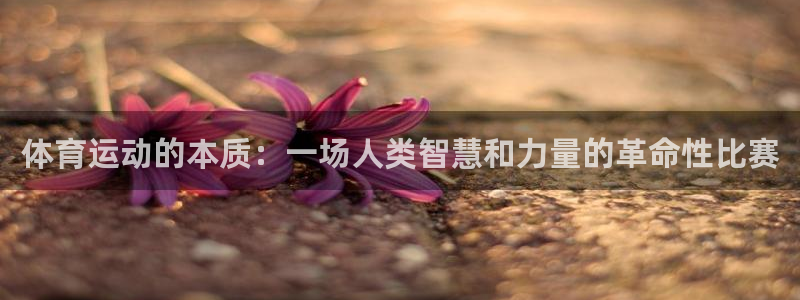 必发官网下载软件：体育运动的本质：一场人类智慧和力量