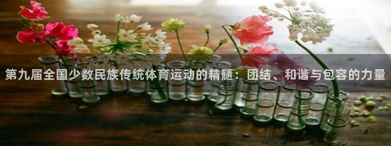 必发官方平台体育：第九届全国少数民族传统体育运动的精