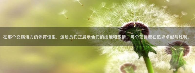德国必发官方正版app集团：在那个充满活力的体育馆里