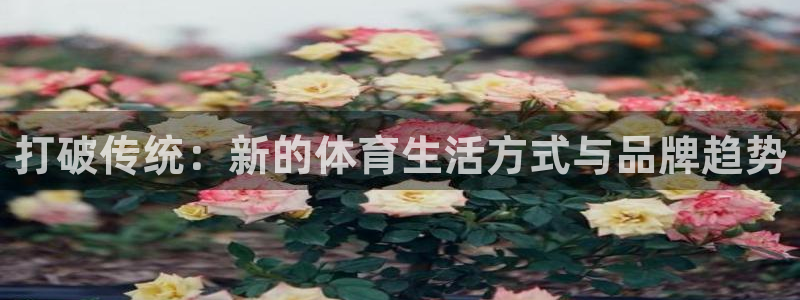 必发官网下载招商电话号码：打破传统：新的体育生活方式