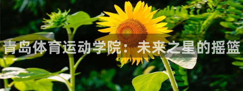 必发官网下载平台假的吗是真的吗吗：青岛体育运动学院：
