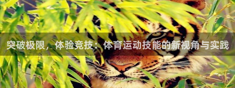 必发官网下载注册：突破极限，体验竞技：体育运动技能的