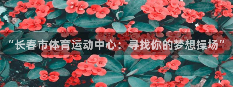 必发官方正版app娱乐40996：“长春市体育运动中