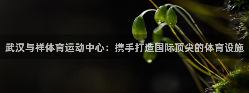 必发官网下载招商电话号码查询：武汉与祥体育运动中心：