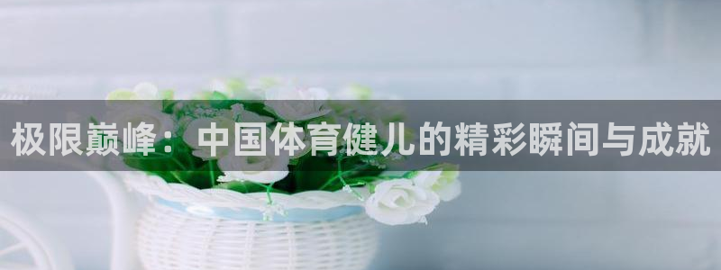 必发官方正版app娱乐下载：极限巅峰：中国体育健儿的