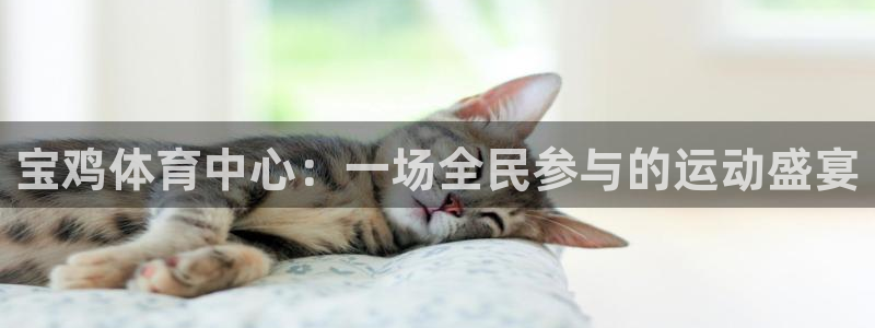 必发官方正版app娱乐：宝鸡体育中心：一场全民参与的