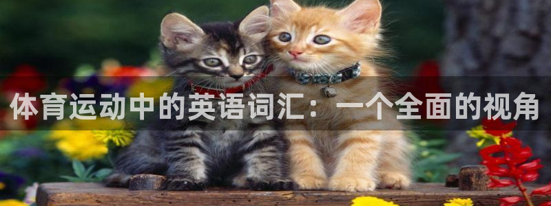 必发官网下载平台