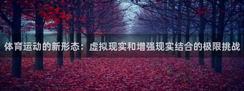 必发官网下载平台注册流程视频：体育运动的新形态：虚拟