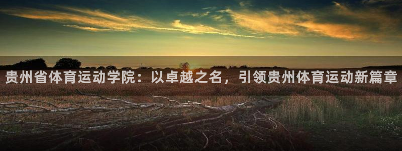 必发官方正版app娱乐代理怎么样