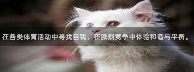 必发官网下载平台APP