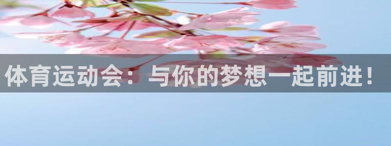 必发官方正版app神州：体育运动会：与你的梦想一起前