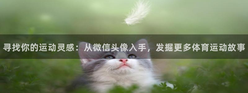 必发官网下载：寻找你的运动灵感：从微信头像入手，发掘更多体育