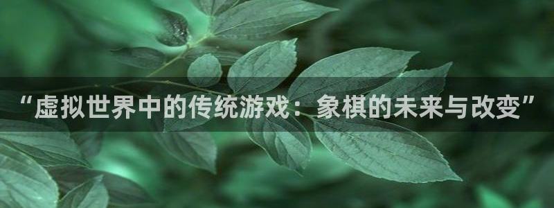 919体育直播间在线看：“虚拟世界中的传统游戏：象棋的未来与改变”