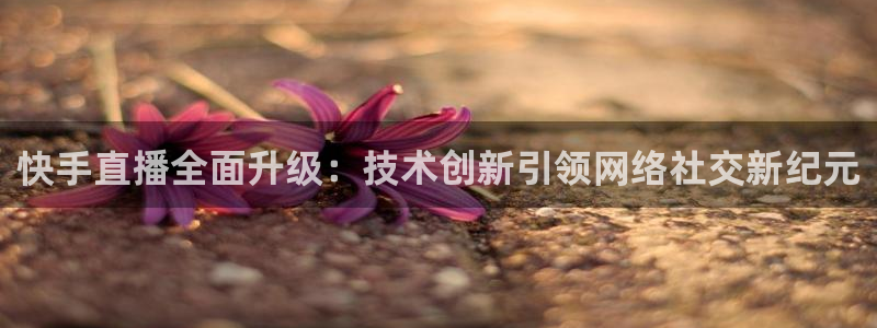 919直播间官网：快手直播全面升级：技术创新引领网络社交新纪元